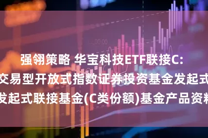 强翎策略 华宝科技ETF联接C: 华宝中证科技龙头交易型开放式指数证券投资基金发起式联接基金(C类份额)基金产品资料概要(更新)